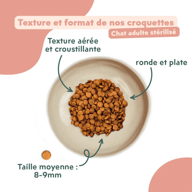 Échantillons Croquettes Chat & Chaton