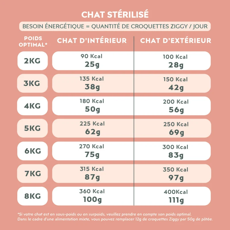 Échantillons Croquettes Chat & Chaton