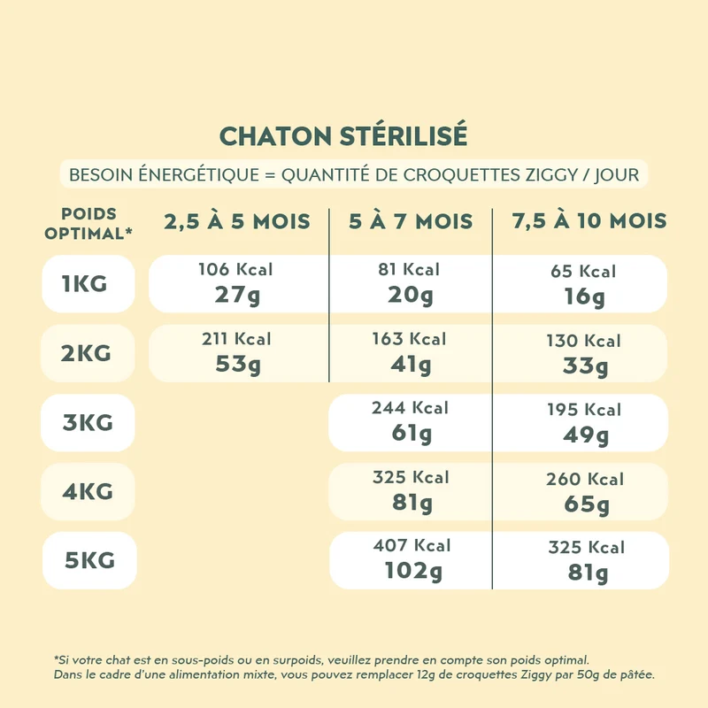 Échantillons Croquettes Chat & Chaton