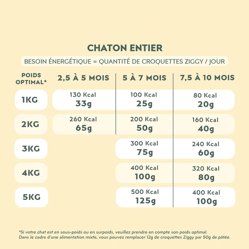 Échantillons Croquettes Chat & Chaton
