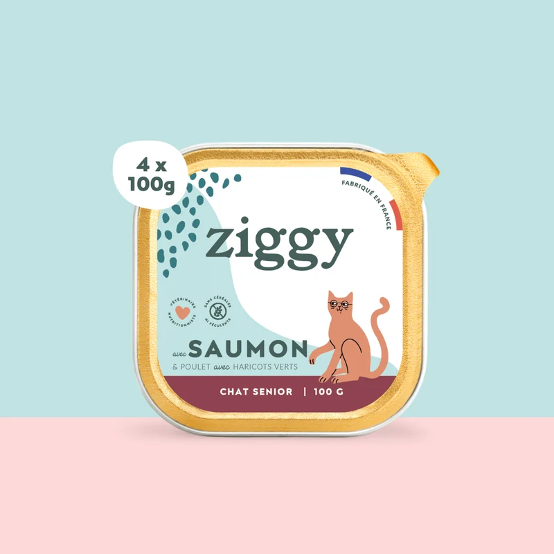 Pâtée - Saumon