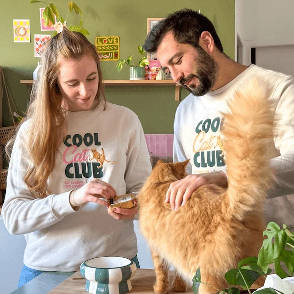 Pull Ziggy - Cool Cat Club