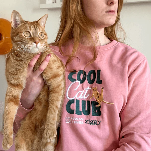 Pull Ziggy - Cool Cat Club
