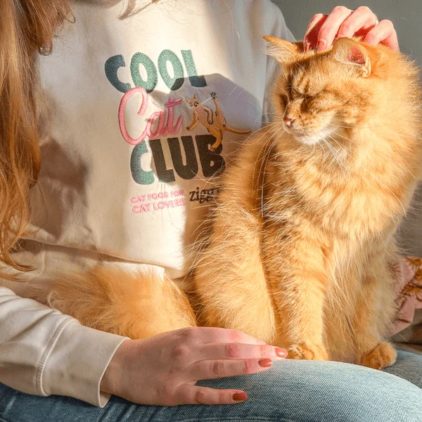 Pull Ziggy - Cool Cat Club