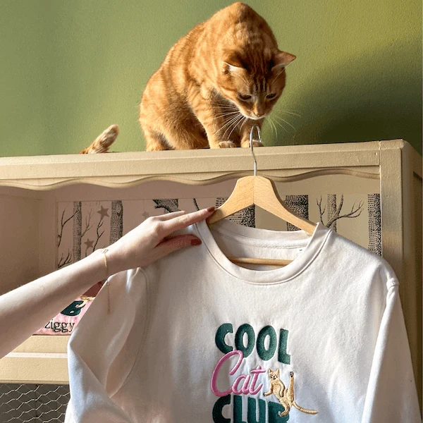Pull Ziggy - Cool Cat Club