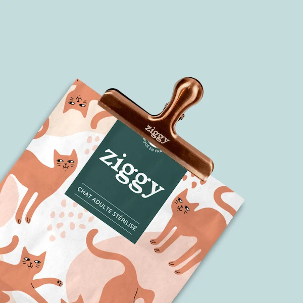 Pince à croquettes - Ziggy