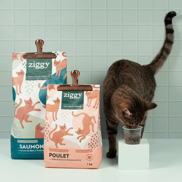 Pince à croquettes - Ziggy