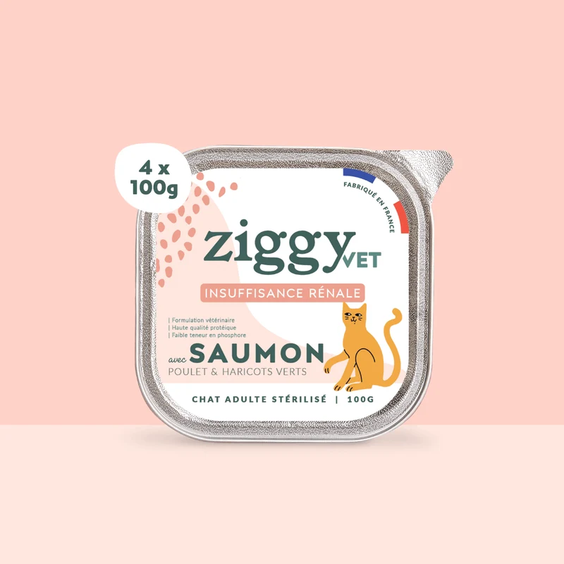 Pâtée VET - IRC Saumon