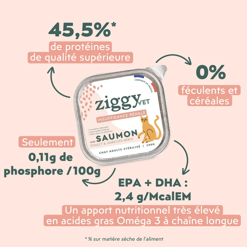 Pâtée Chat Adulte Insuffisance Rénale - Saumon