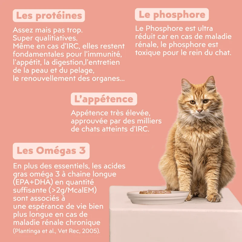 Pâtée Chat Adulte Insuffisance Rénale - Saumon
