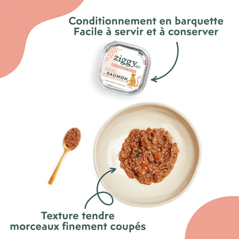 Pâtée Chat Adulte Insuffisance Rénale - Saumon