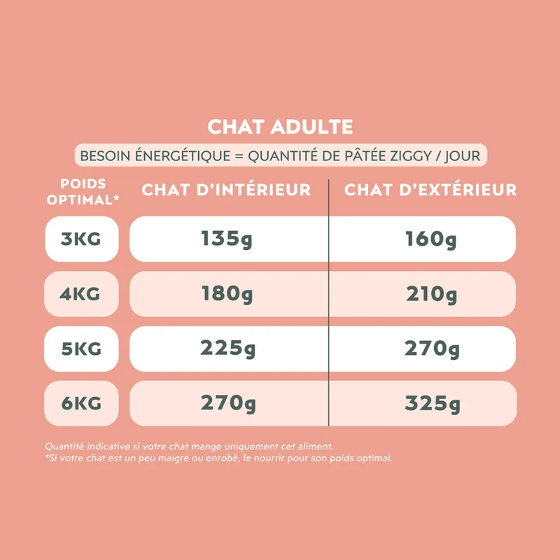 Pâtée Chat Adulte Insuffisance Rénale - Saumon