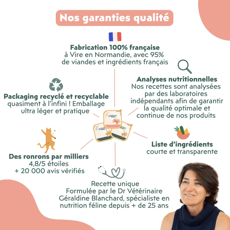 Pâtée Chat Adulte Insuffisance Rénale - Saumon