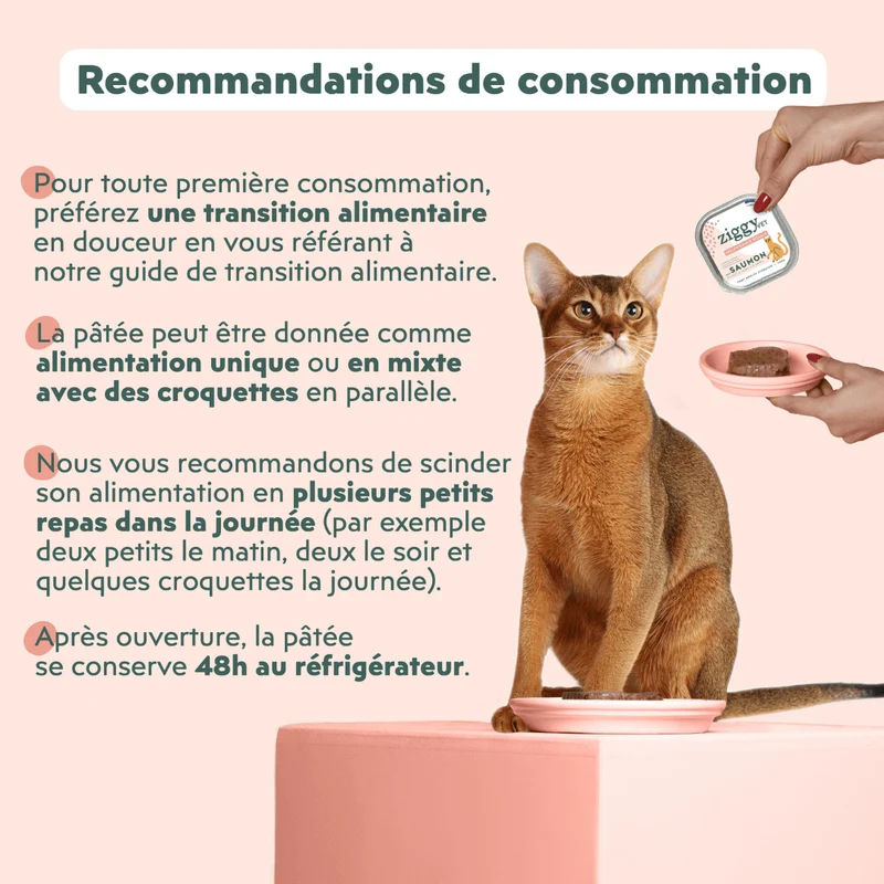 Pâtée Chat Adulte Insuffisance Rénale - Saumon