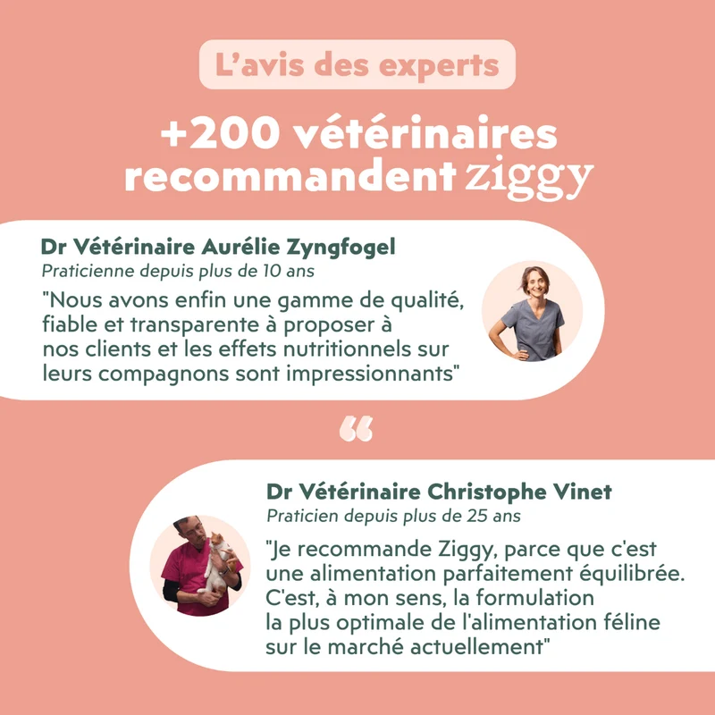 Pâtée Chat Adulte Insuffisance Rénale - Saumon
