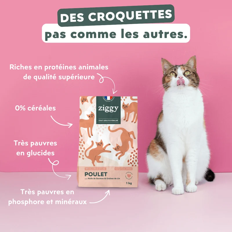 Kit échantillons Chat & Chaton