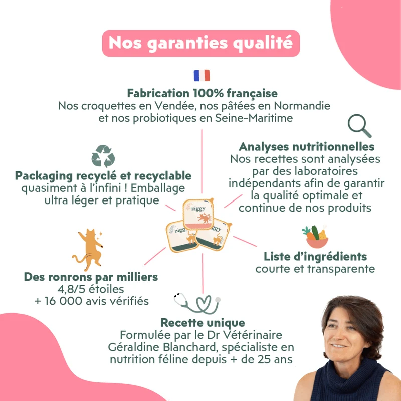 Kit échantillons Chat & Chaton