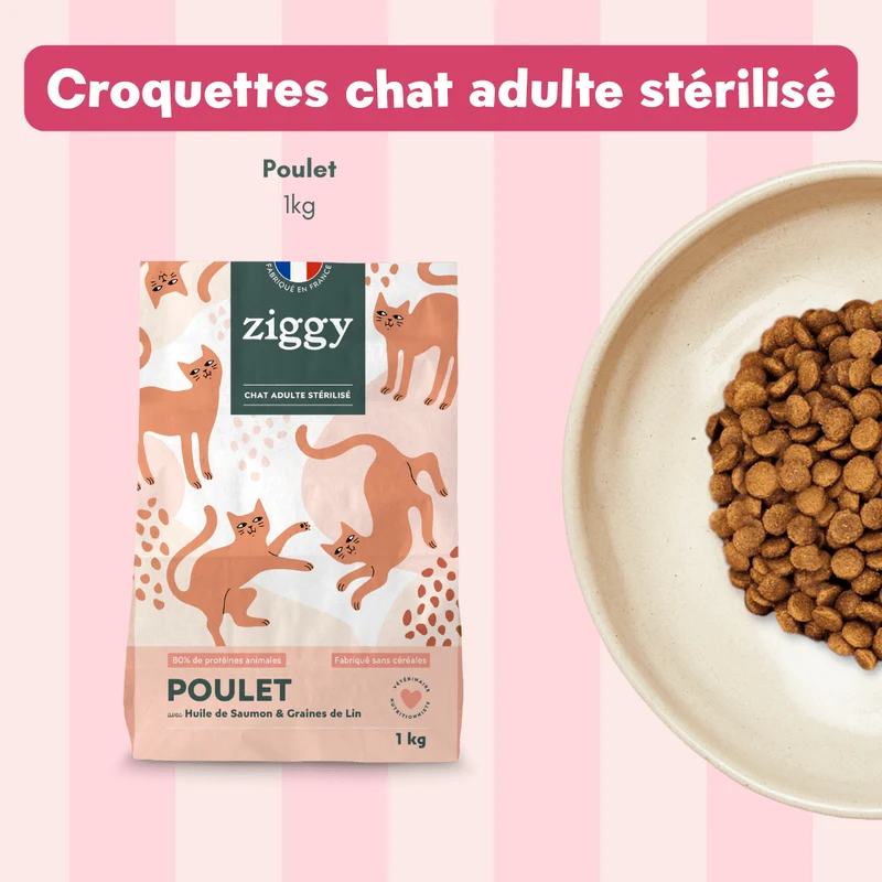 Coffret Découverte Chat Adulte - 1kg Croquettes + 8 Pâtées + 3 Probiotiques