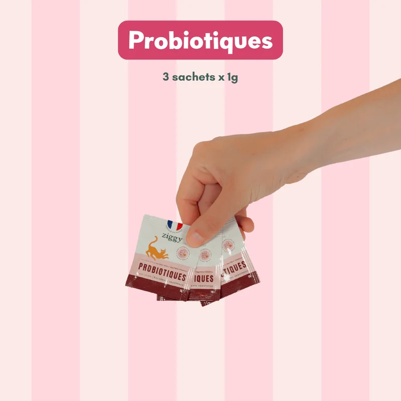 Coffret Découverte Chat Adulte - 1kg Croquettes + 8 Pâtées + 3 Probiotiques