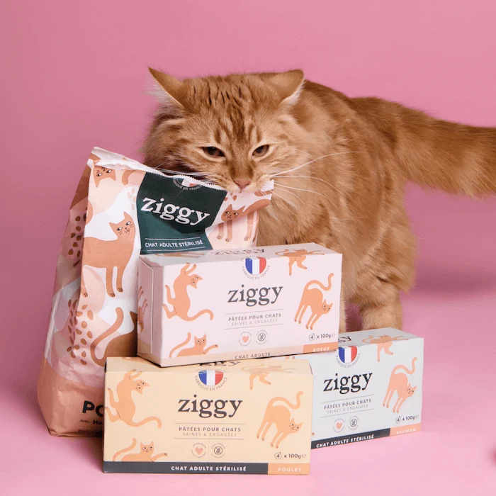 Coffret Découverte Chat Adulte - 1kg Croquettes + 8 Pâtées + 3 Probiotiques