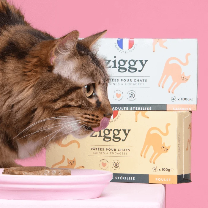 Coffret Découverte Chat Adulte - 1kg Croquettes + 8 Pâtées + 3 Probiotiques