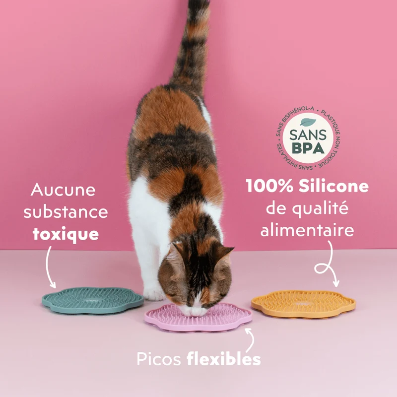 Tapis anti-glouton pour chat - Cool Cat Club