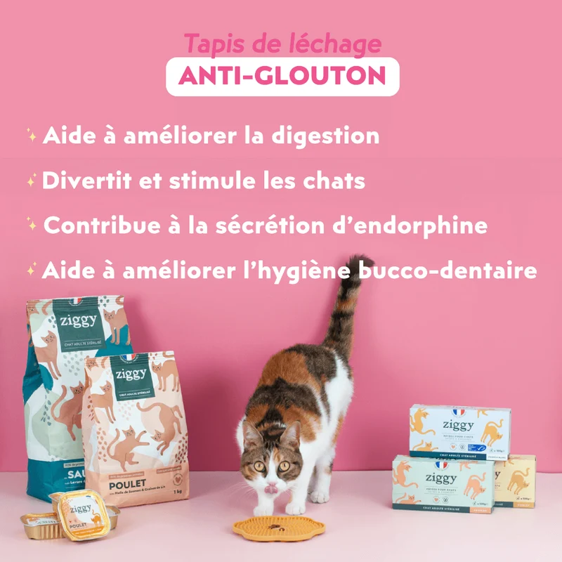 Tapis anti-glouton pour chat - Cool Cat Club