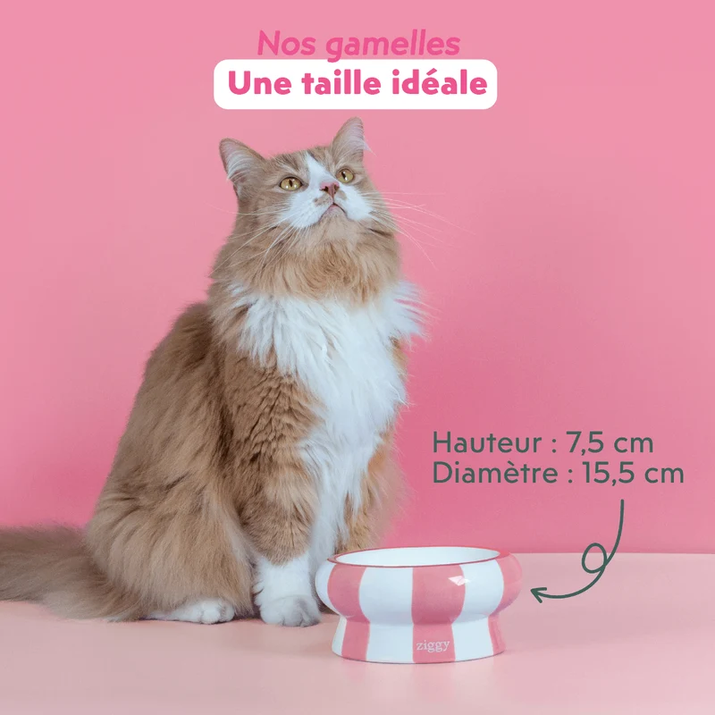 Gamelle pour chat - Cool Cat Club