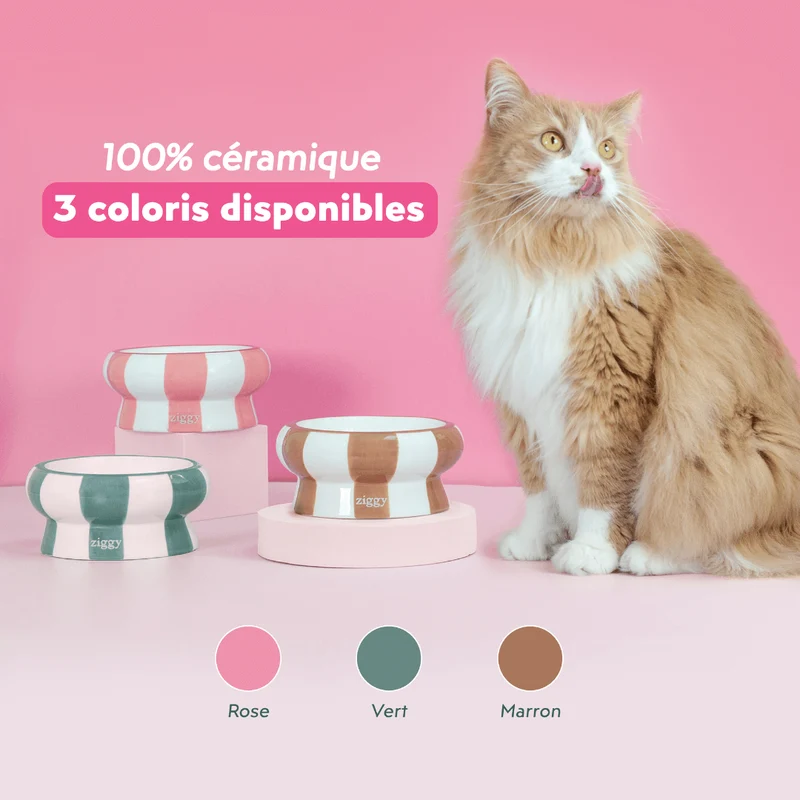 Gamelle pour chat - Cool Cat Club