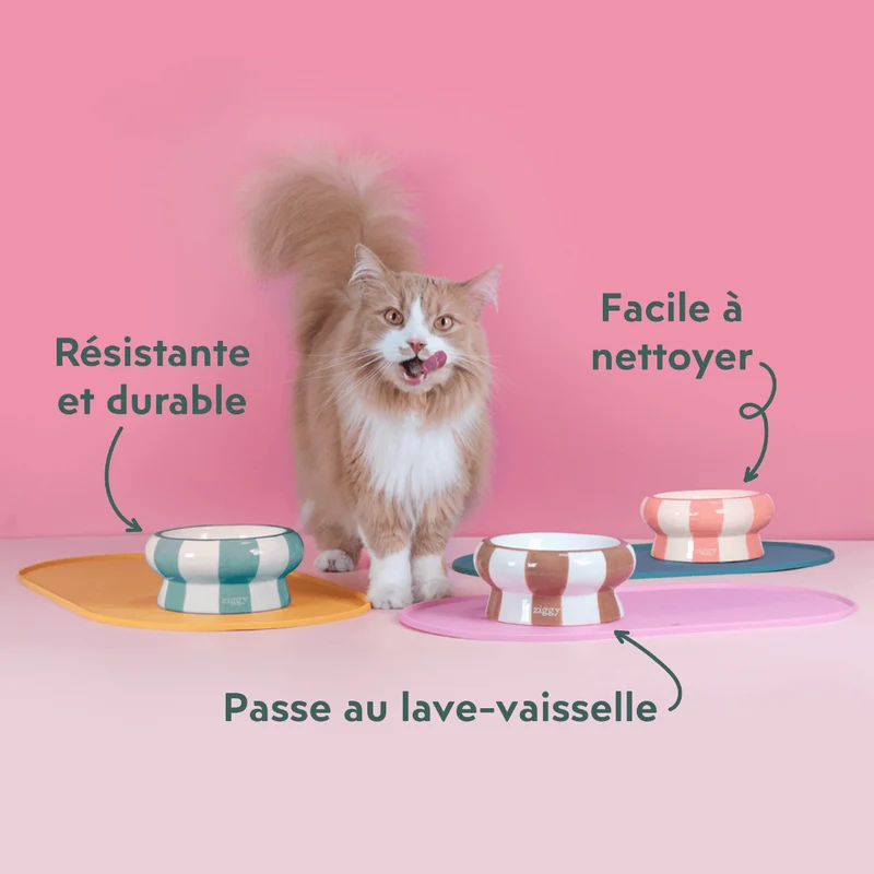 Gamelle pour chat - Cool Cat Club