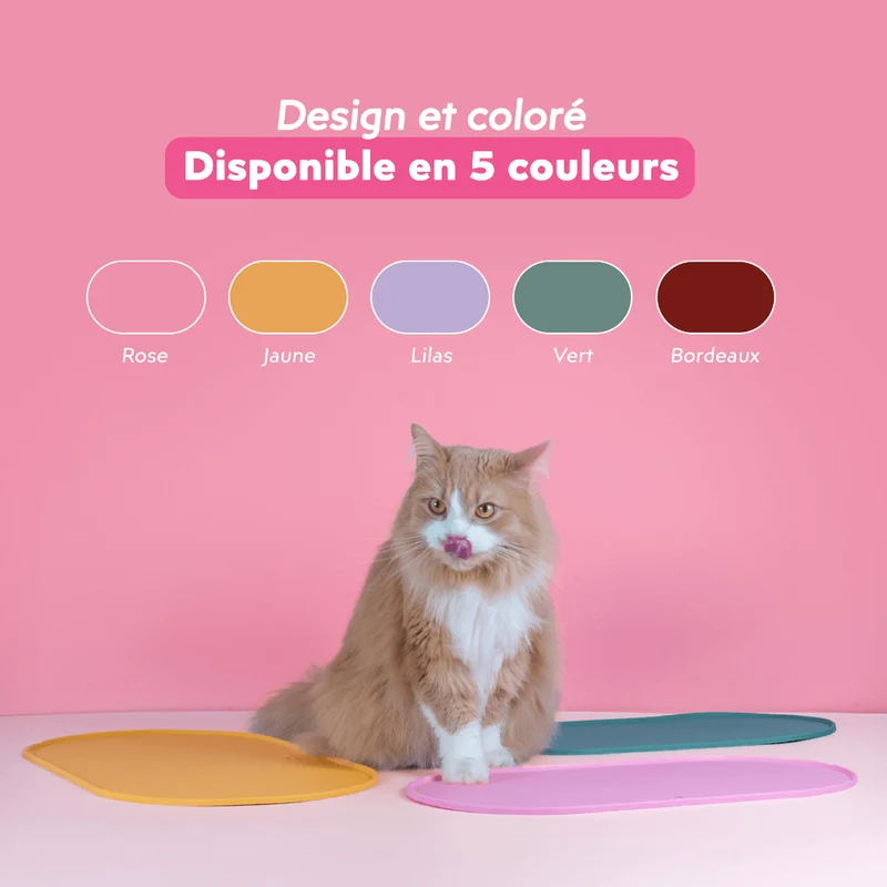 Tapis de Gamelle pour chat - Cool Cat Club