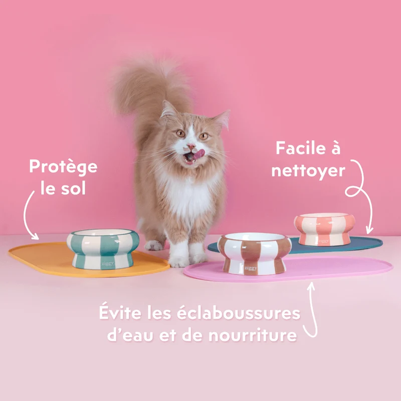 Tapis de Gamelle pour chat - Cool Cat Club
