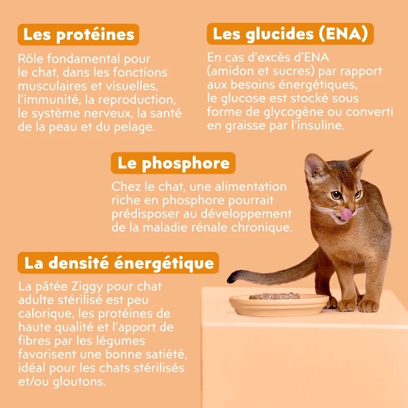 Pâtée Chat Stérilisé Sans Céréales - Poulet, Tomates & Olives