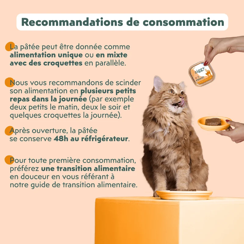 Pâtée Chat Stérilisé Sans Céréales - Poulet, Tomates & Olives