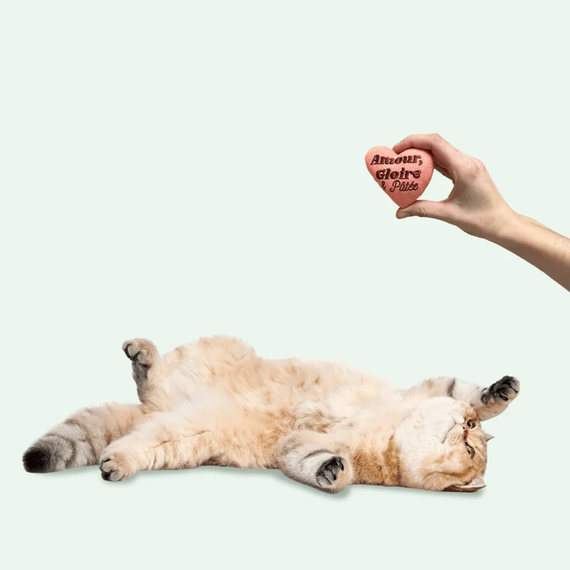 Peluche Ziggy - Cataire
