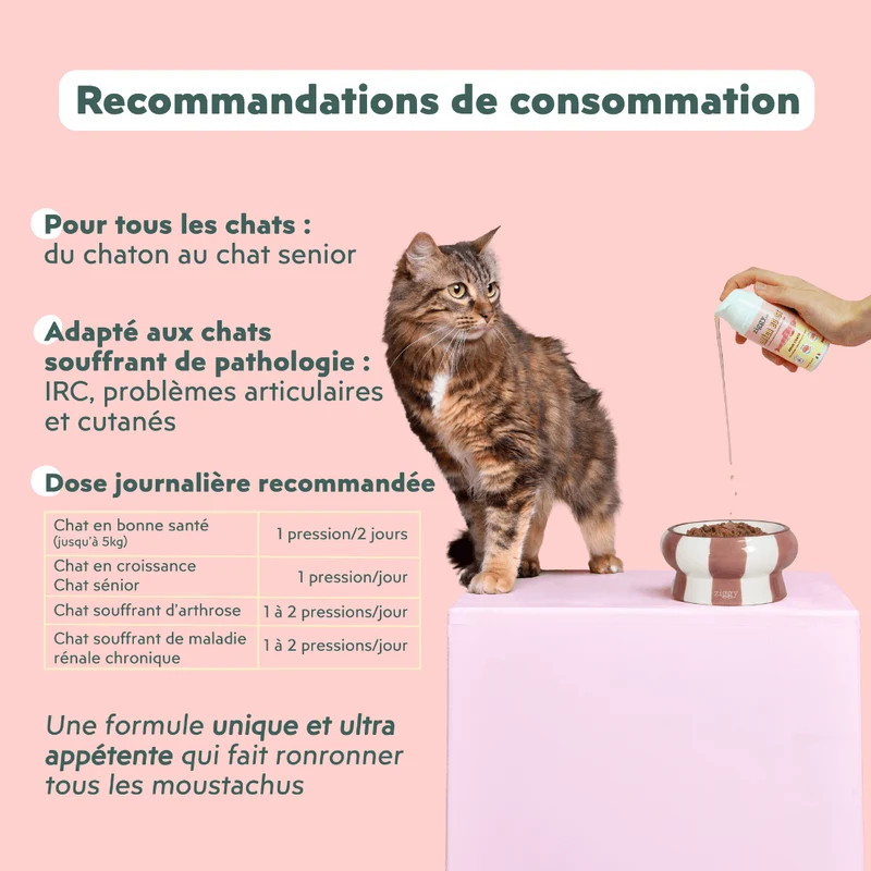 Huile Oméga Boost - Poissons & Algues