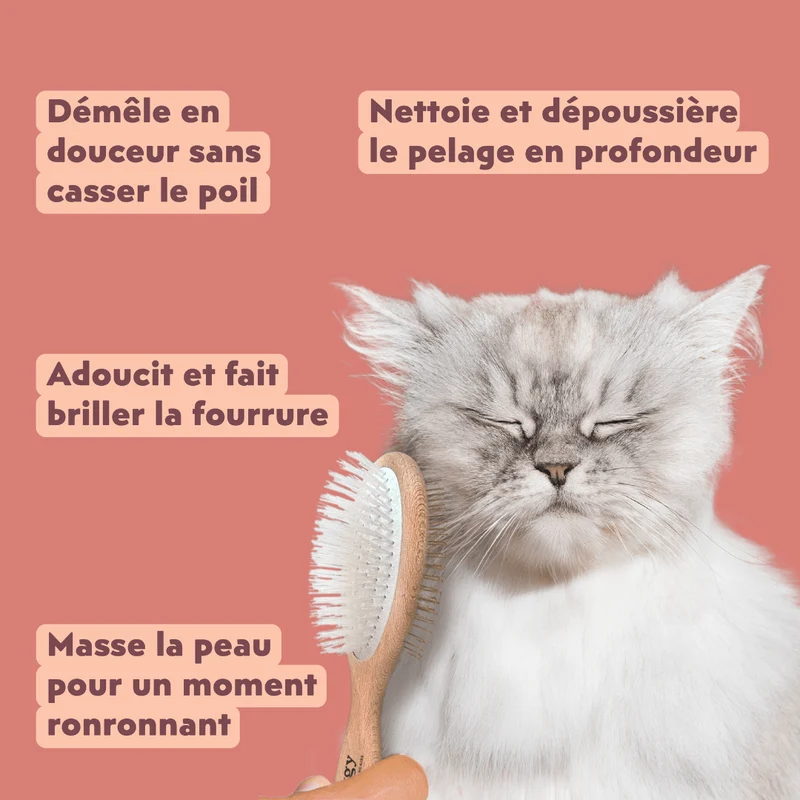 La brosse française - pour chats