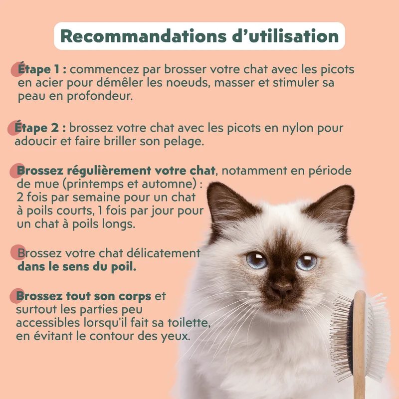 La brosse française - pour chats