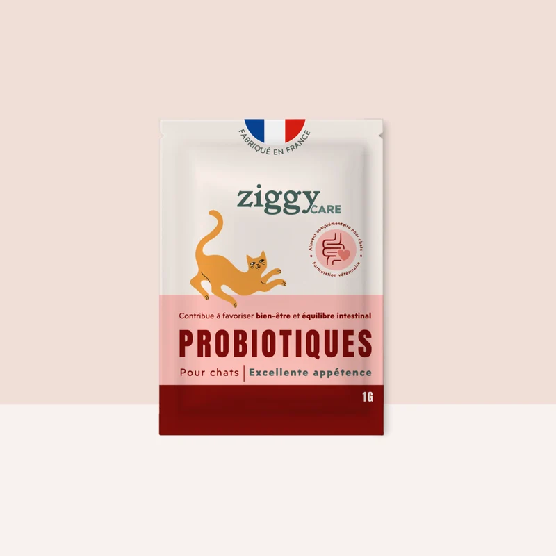 Probiotiques Chat - Flore Digestive