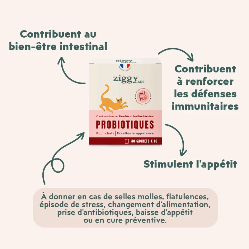 Probiotiques Chat - Flore Digestive