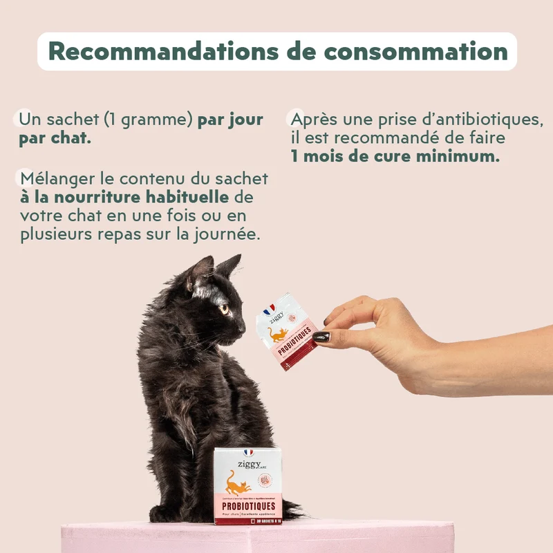 Probiotiques Chat - Flore Digestive