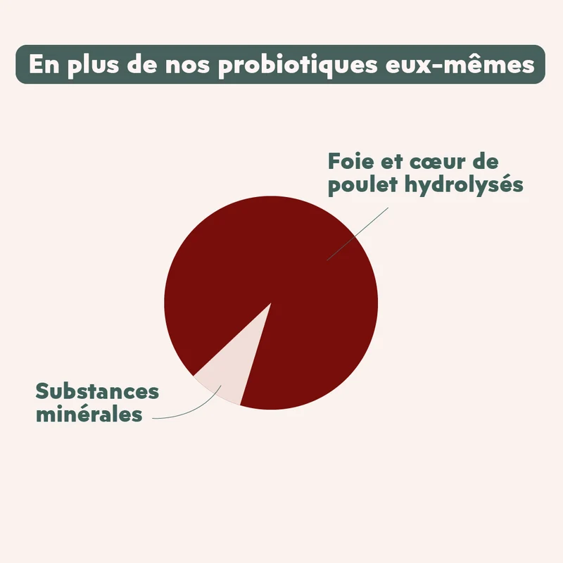 Probiotiques Chat - Flore Digestive