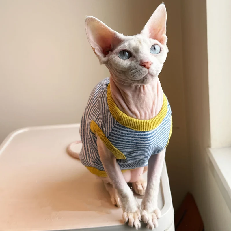 T Shirt Rayé Pour Chat En Coton Doux Sans Manches