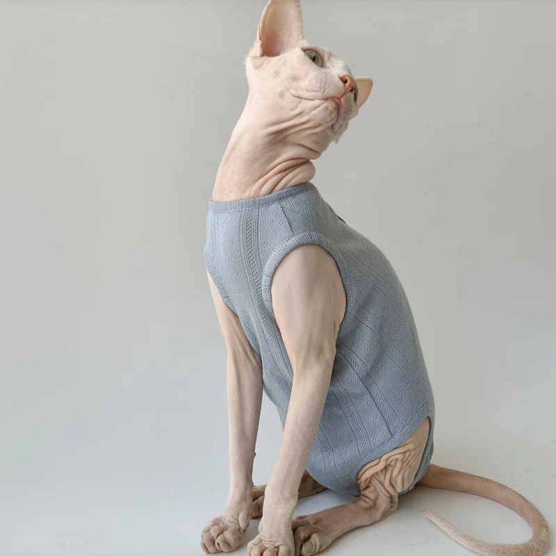 T-Shirt Eté Pour Chat Sphynx En Coton