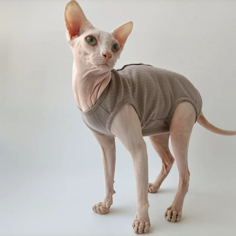 T-Shirt Eté Pour Chat Sphynx En Coton