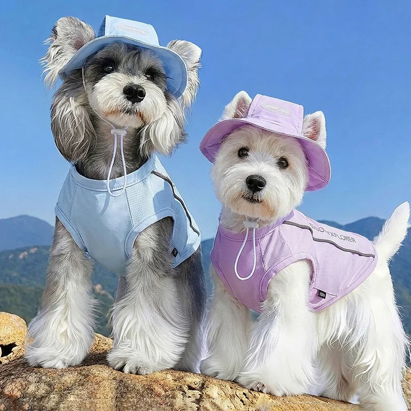 Ensemble T-Shirt Refroidissant Pour Chien Avec Casquette