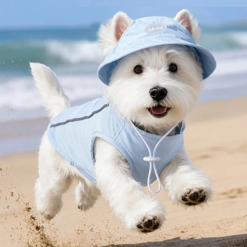 Ensemble T-Shirt Refroidissant Pour Chien Avec Casquette