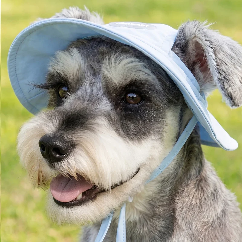Ensemble T-Shirt Refroidissant Pour Chien Avec Casquette