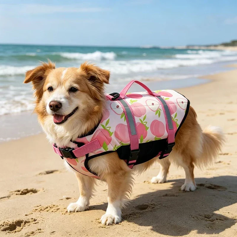 Gilet De Sauvetage Réfléchissant Réglable Pour Chien