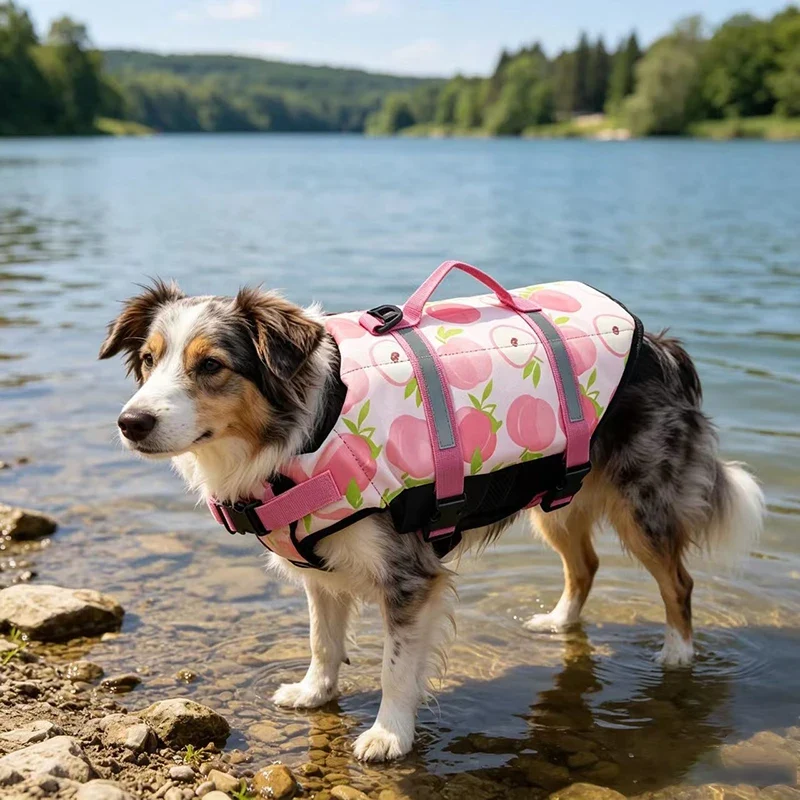 Gilet De Sauvetage Réfléchissant Réglable Pour Chien